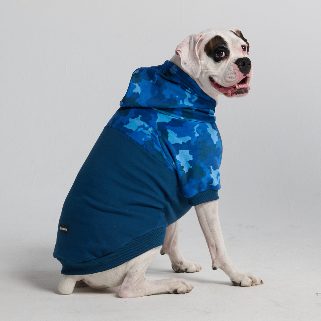 Blue Camo Dog Hoodie - Image 12