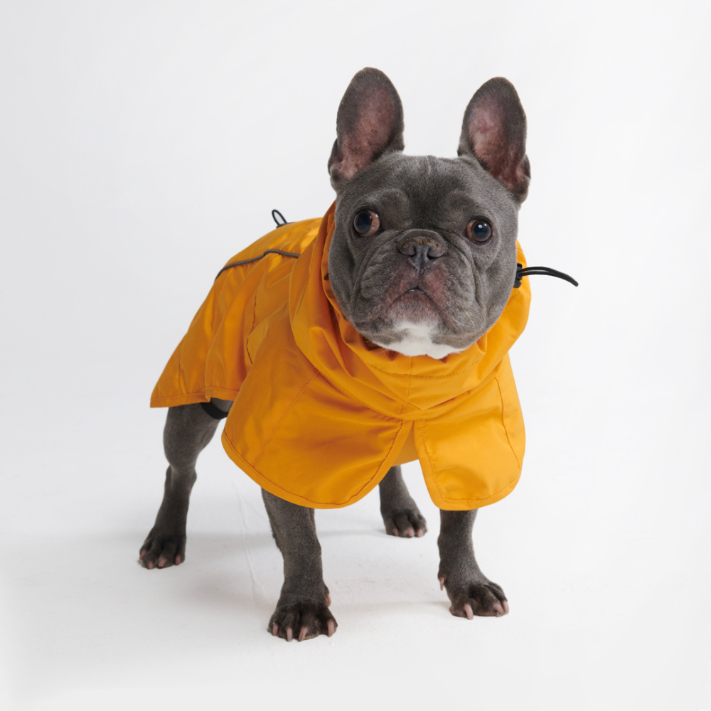 Breatheshield™ Dog Raincoat - Mustard Yellow - Image 8