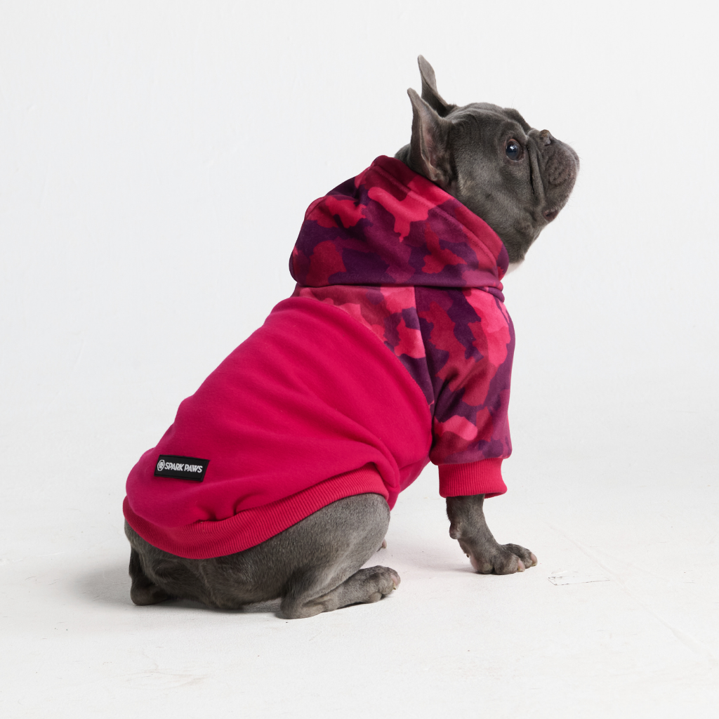 Fuchsia Camo Dog Hoodie - Image 12