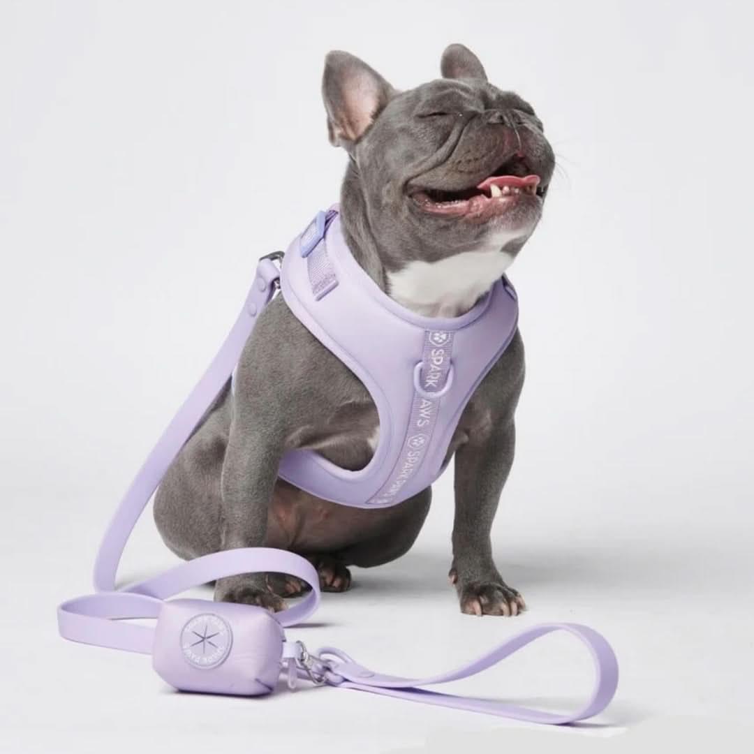Leash and Poop Bag Holder Set - Lilac - Image 4
