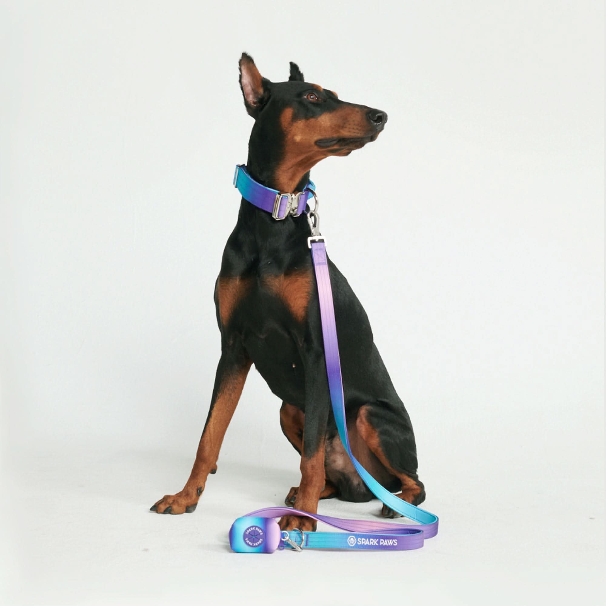 Leash and Poop Bag Holder Set - 90s Retro - Image 3