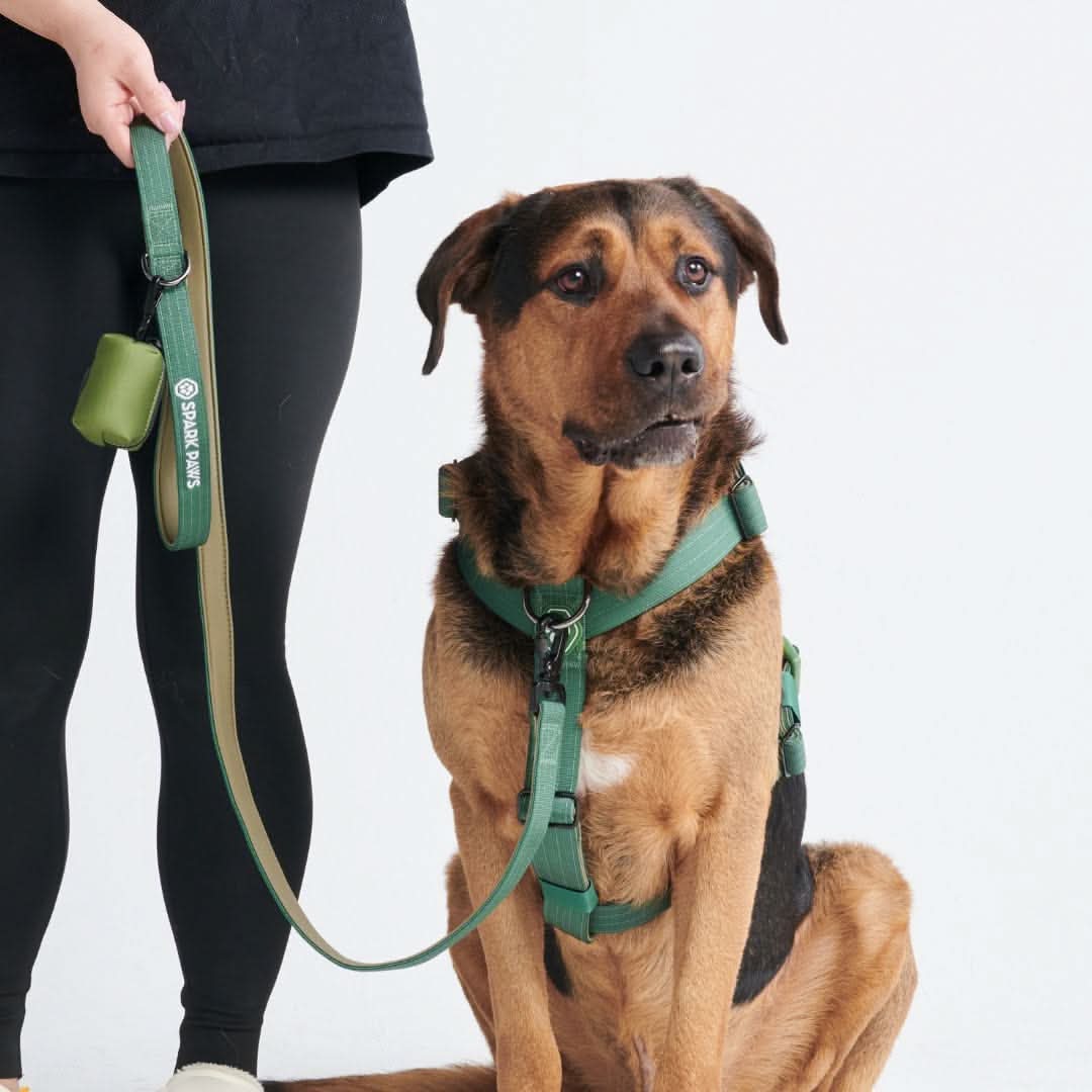 Leash and Poop Bag Holder Set - Army Green - Image 4