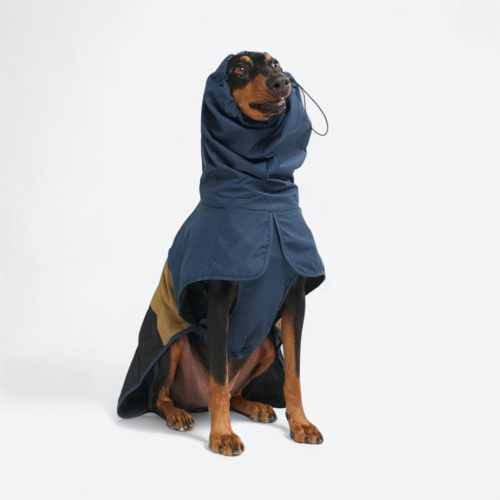 Breatheshield™ Dog Raincoat - Blue Gold Black - Image 10