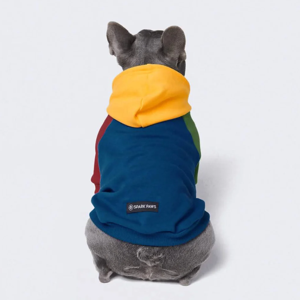Primary Color Block Dog Hoodie - Image 11