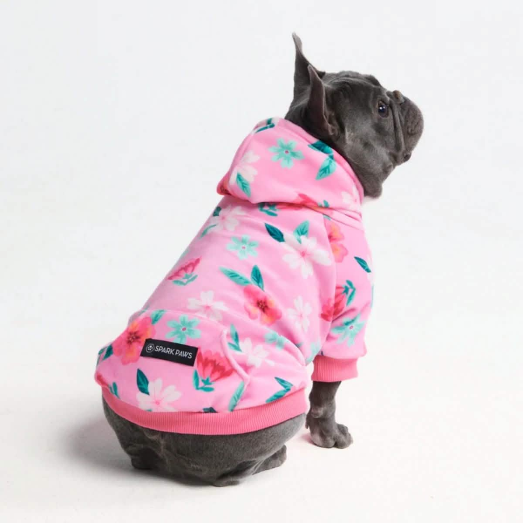 Blossom Dog Hoodie - Pink - Image 12