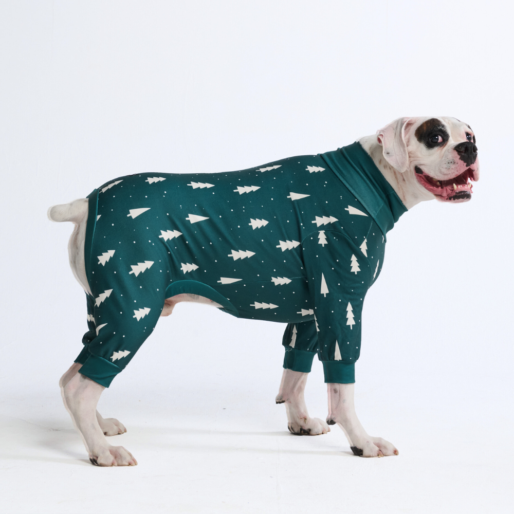 Dog Christmas Pajama - Frosty Pines - Image 7