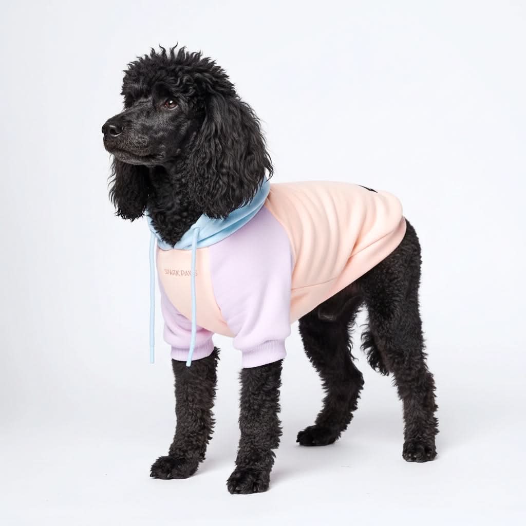 Cotton Candy Dog Hoodie - Image 5