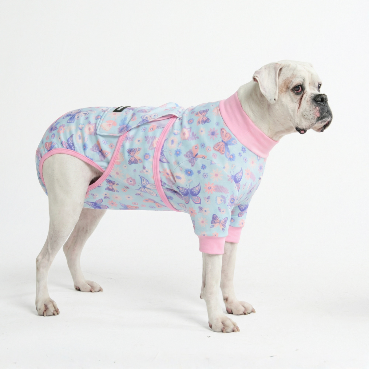 Dog Surgical Suit - Butterfly - Image 5