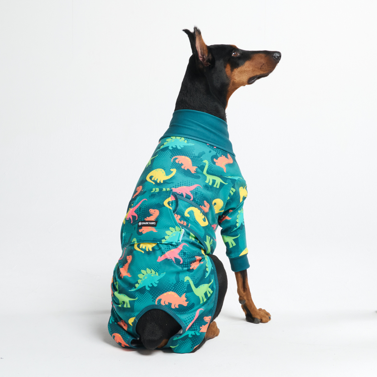 Dog Surgical Suit - Dinosaurs - Image 6
