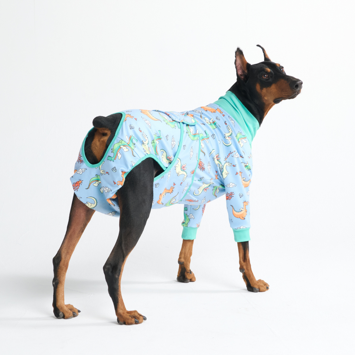 Dog Surgical Suit - Dragons - Image 10