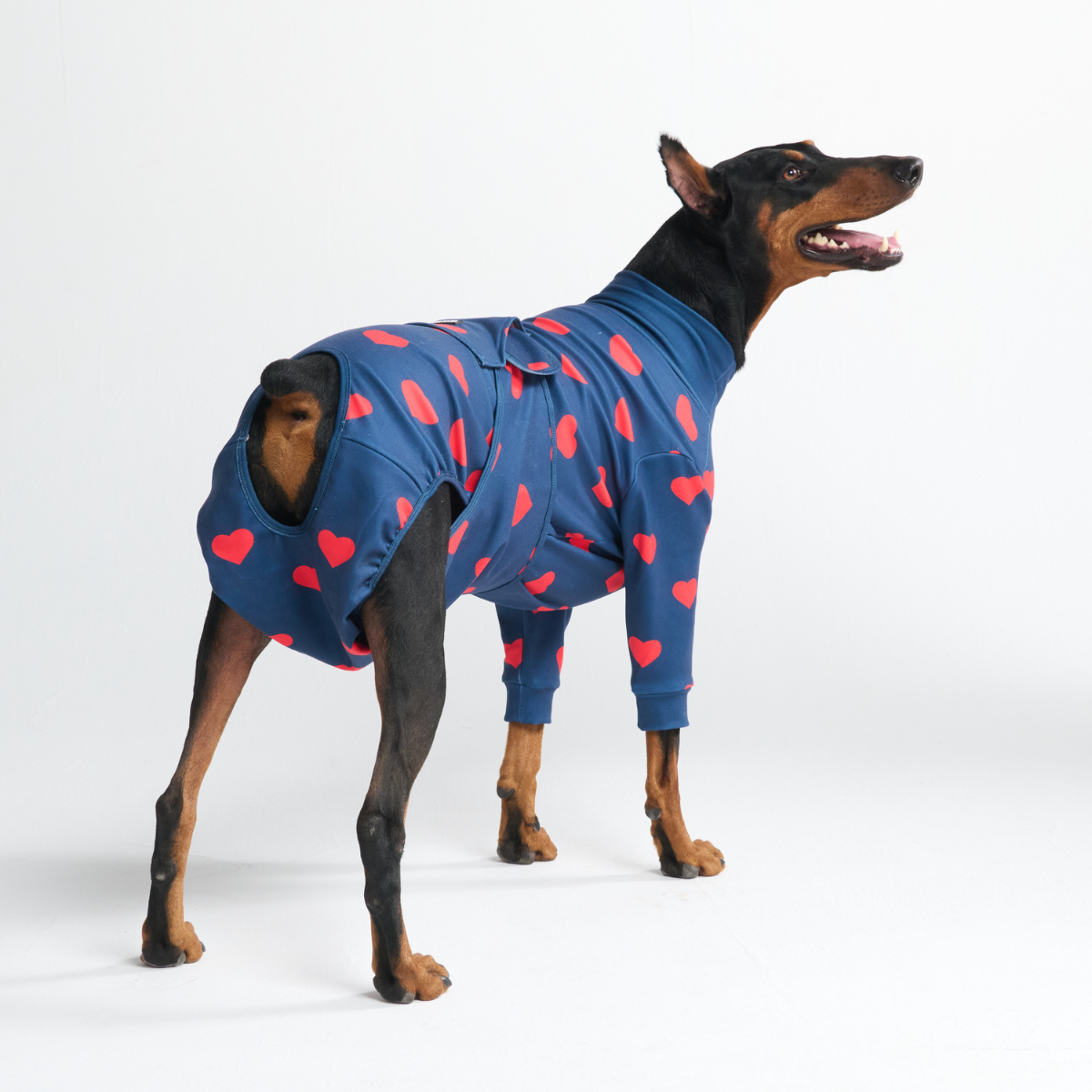 Dog Surgical Suit - Hearts - Image 10