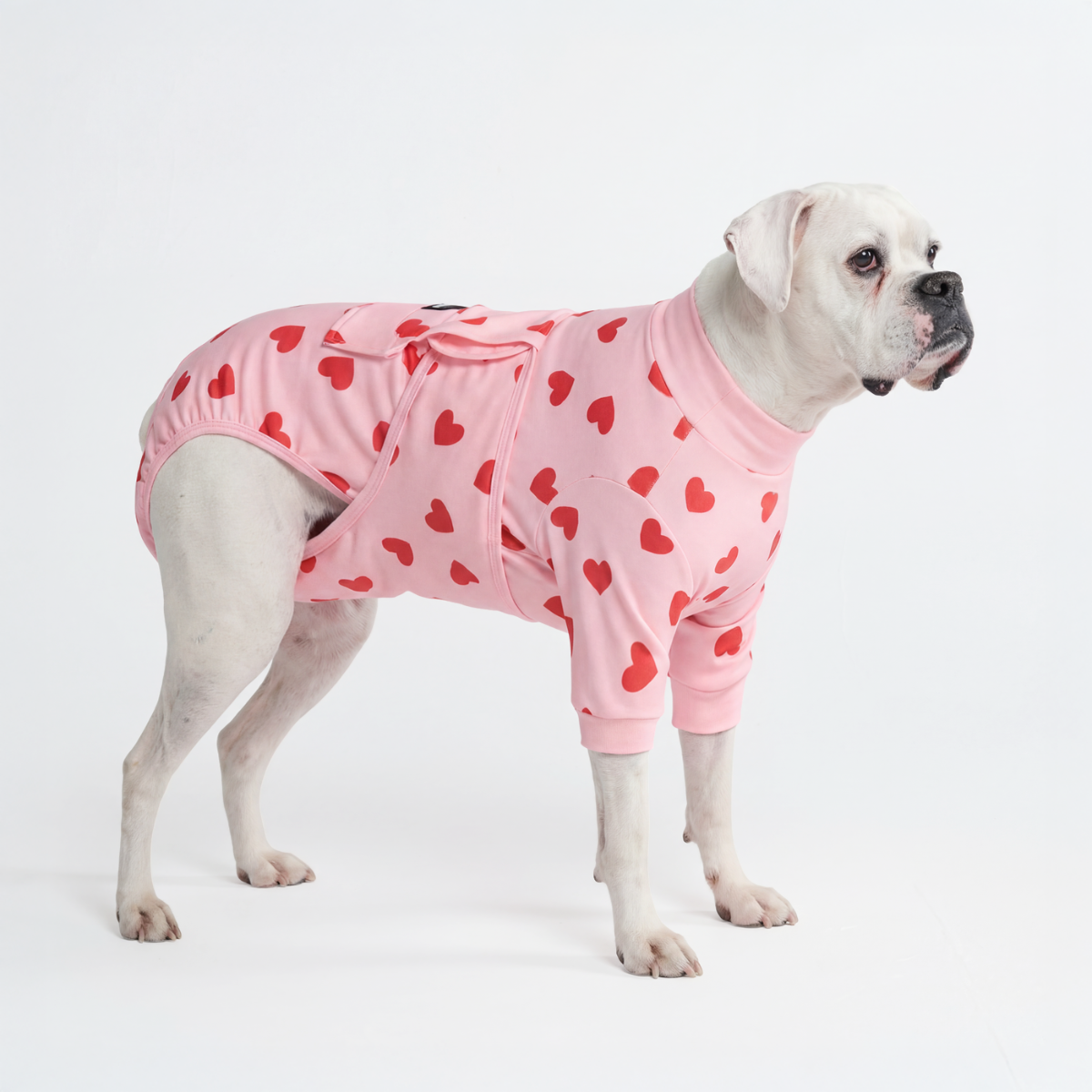Dog Surgical Suit - Pink Hearts - Image 2