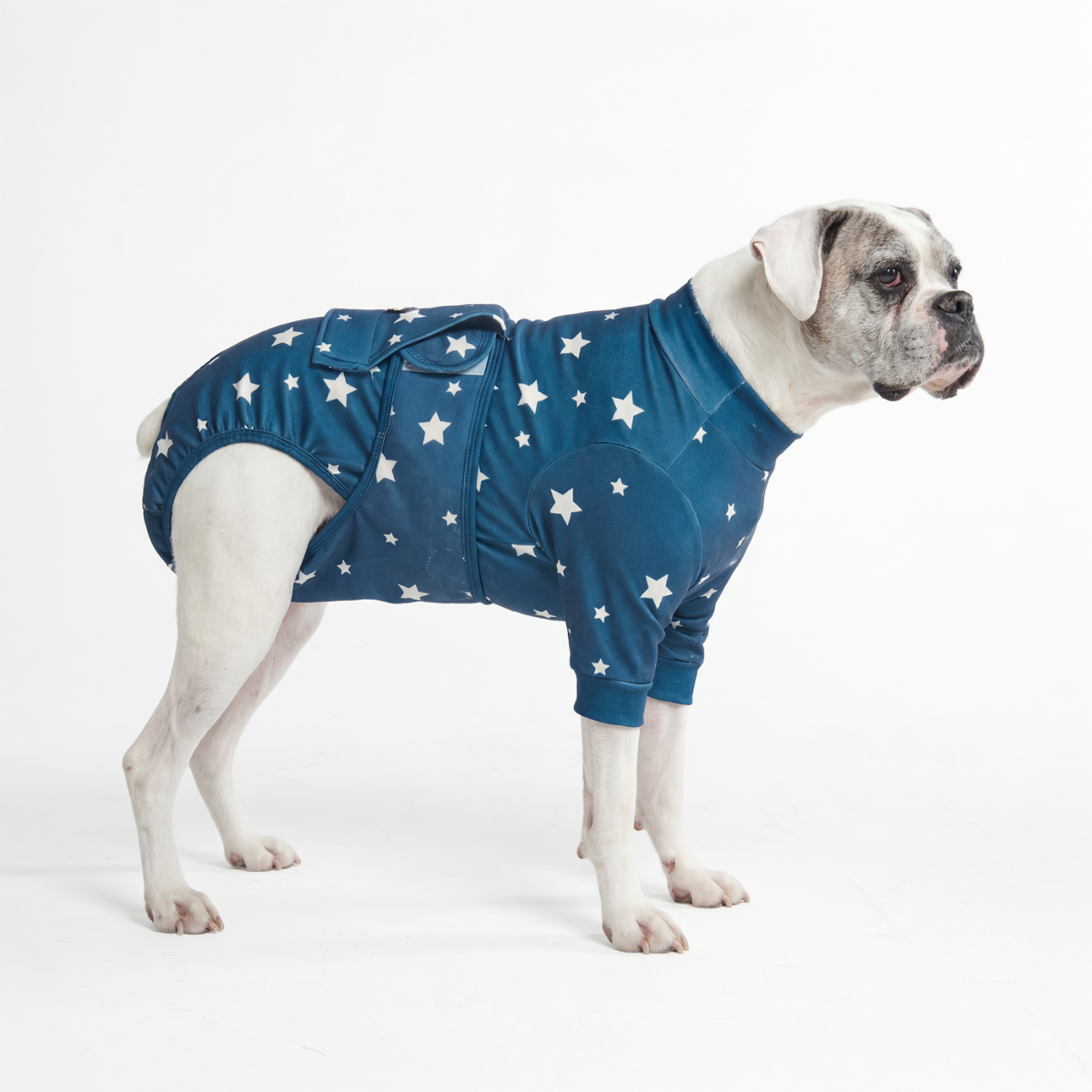 Dog Surgical Suit - Stars