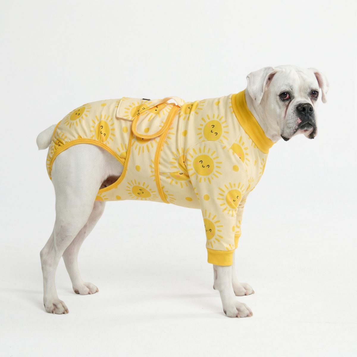 Dog Surgical Suit - Sunshine - Image 5