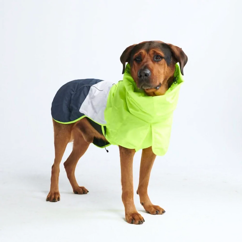 Breatheshield™ Dog Raincoat - Lime White Navy - Image 2