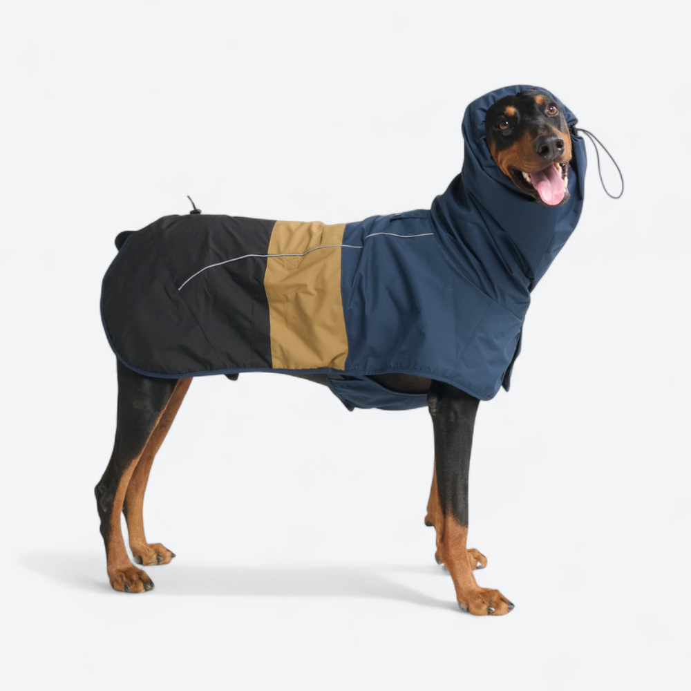Breatheshield™ Dog Raincoat - Blue Gold Black - Image 6