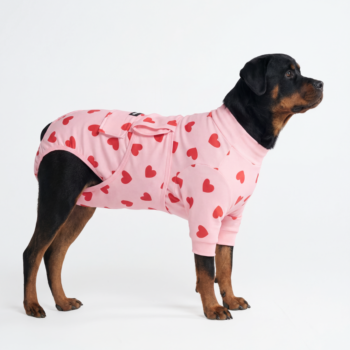 Dog Surgical Suit - Pink Hearts - Image 6