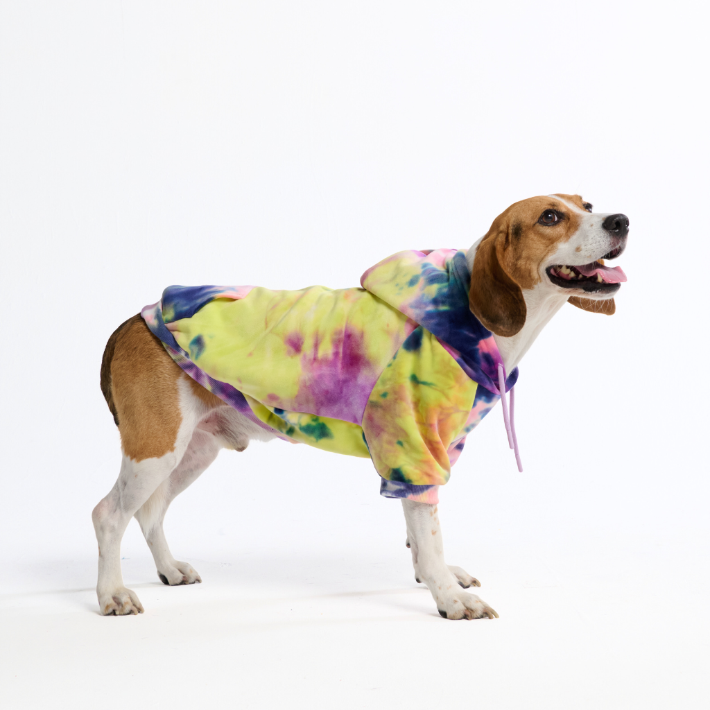 Velvet Dog Hoodie - Berry Lemonade - Image 5