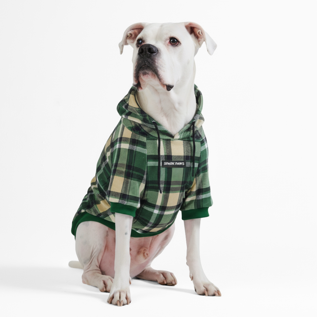 Green Plaid Dog Hoodie - Image 6