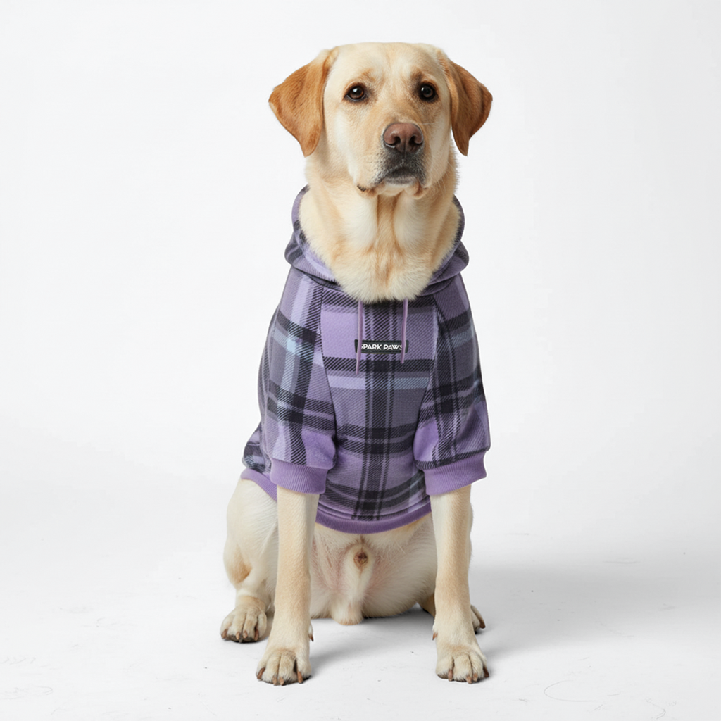 Purple Plaid Dog Hoodie - Image 6