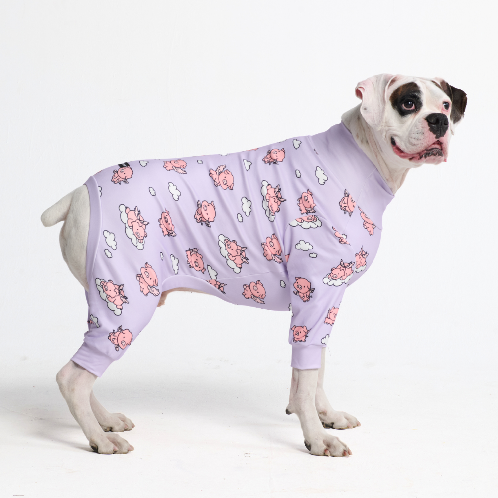Dog Pajama - When Pigs Fly - Image 5