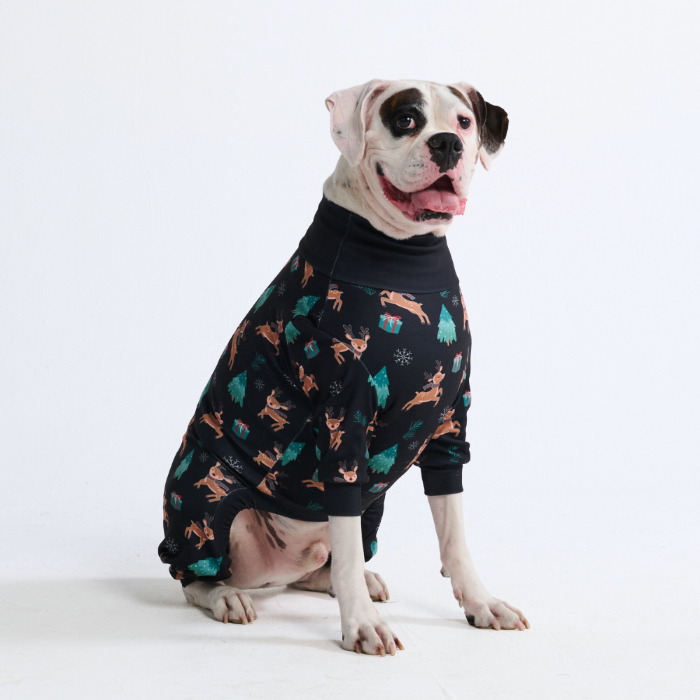 Dog Christmas Pajama - Reindeers - Image 5