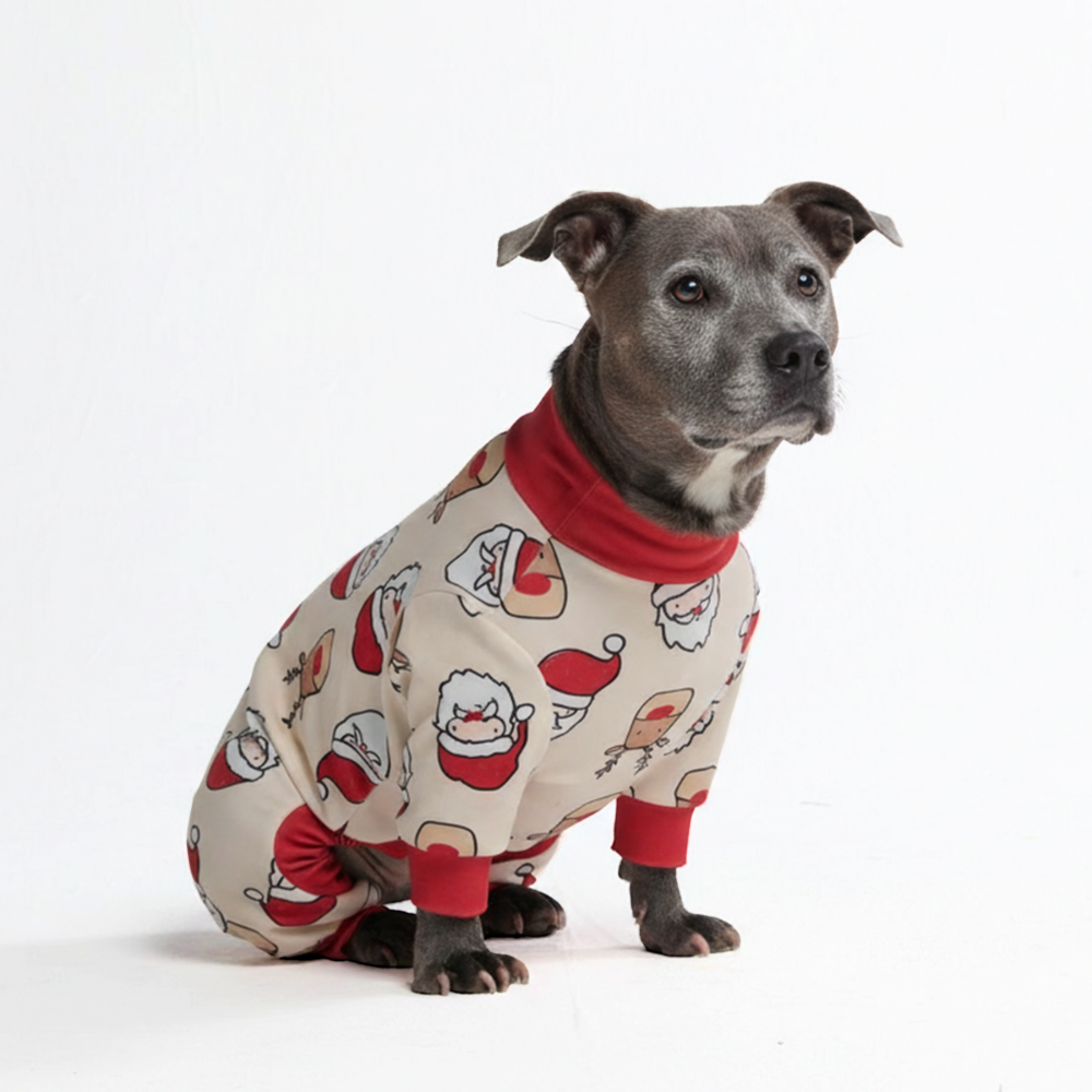 Dog Christmas Pajama - Santa and Rudolph - Image 6