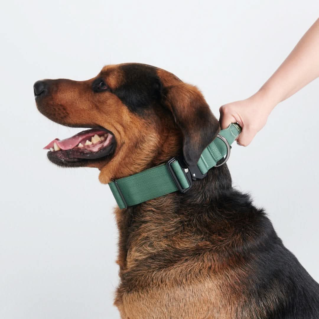 Comfort Control Collar - Army Green - Image 2