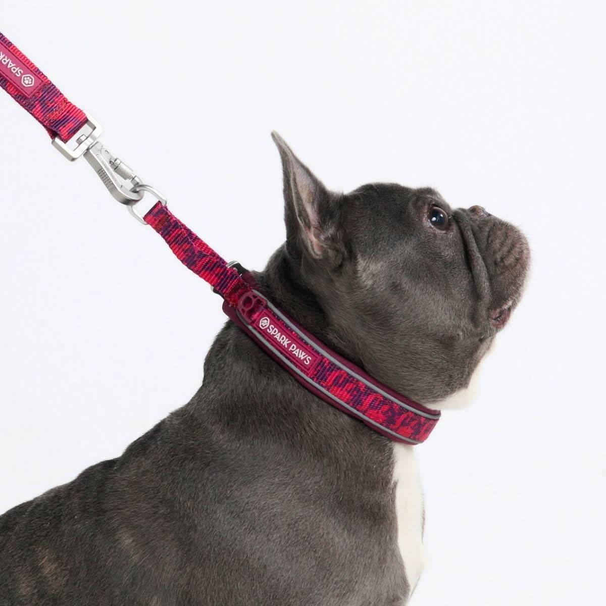 Cushioned Martingale Collar - Fuchsia Camo - Image 3