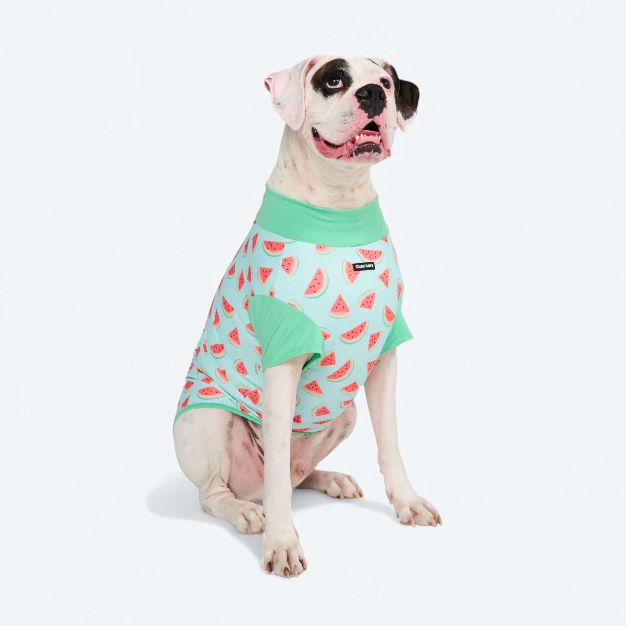Sunblock Shirt - Watermelon - Image 3