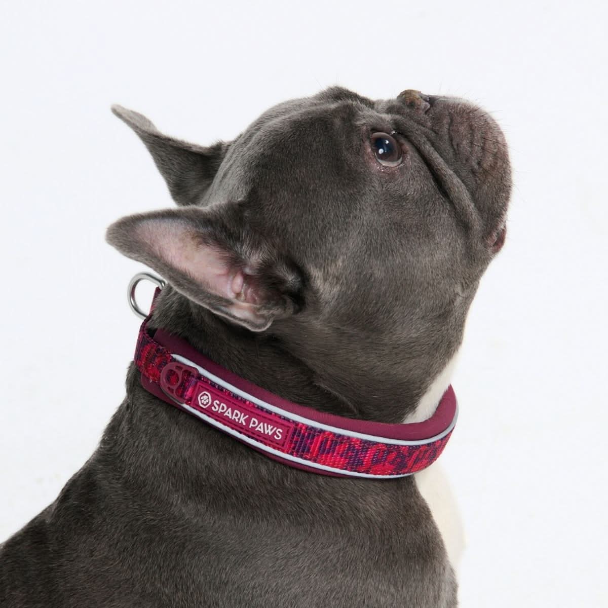 Cushioned Martingale Collar - Fuchsia Camo - Image 4