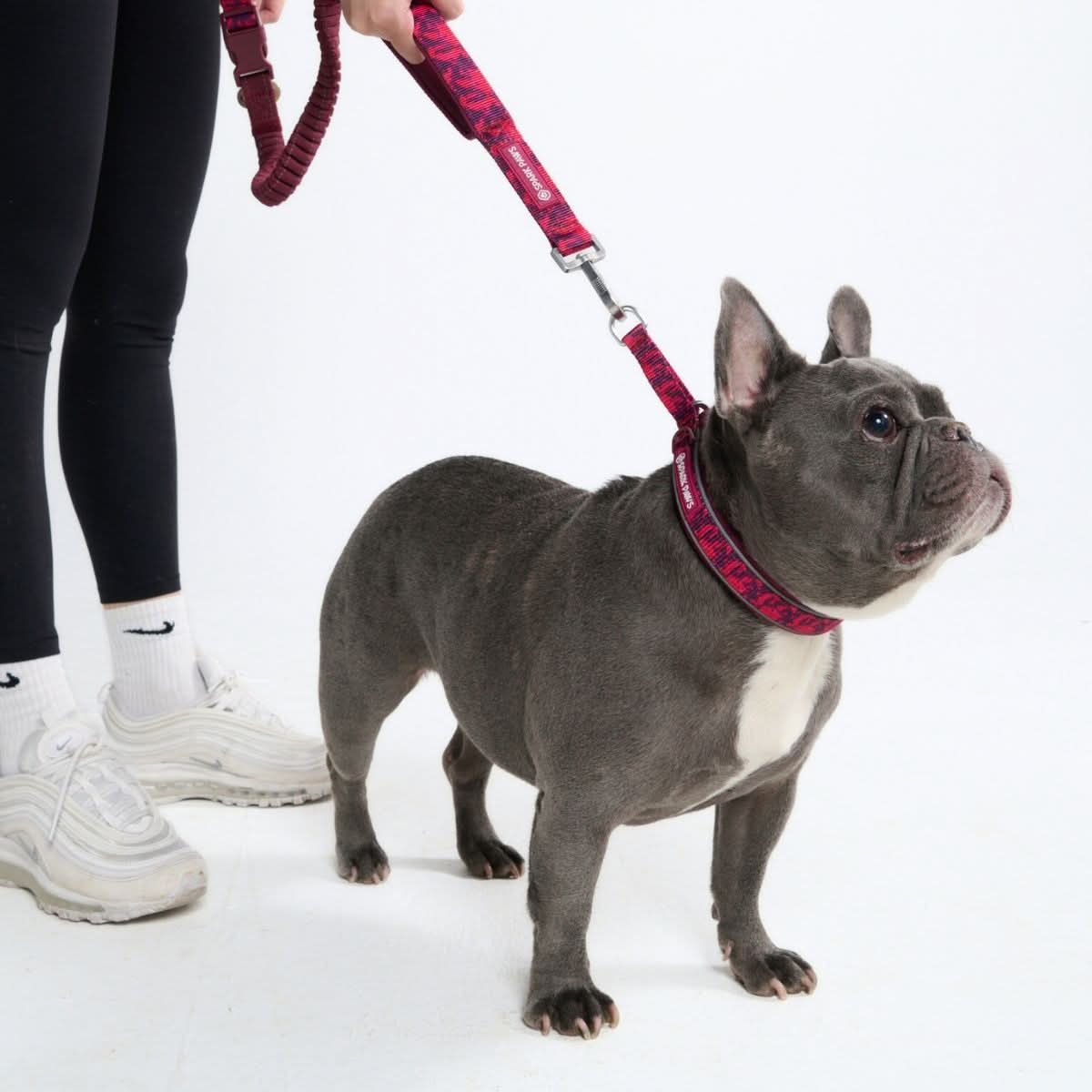 Cushioned Martingale Collar - Fuchsia Camo - Image 5