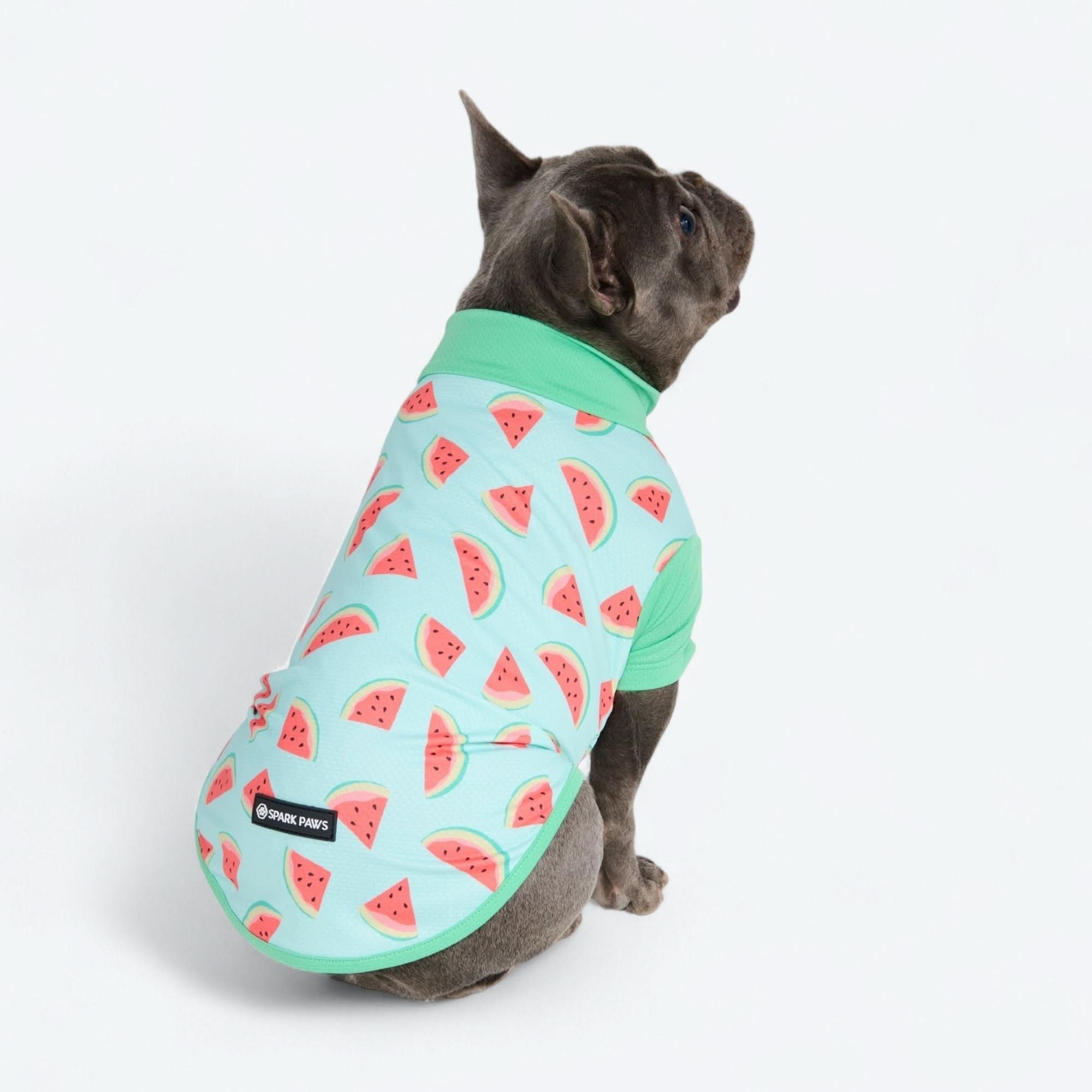 Sunblock Shirt - Watermelon - Image 5