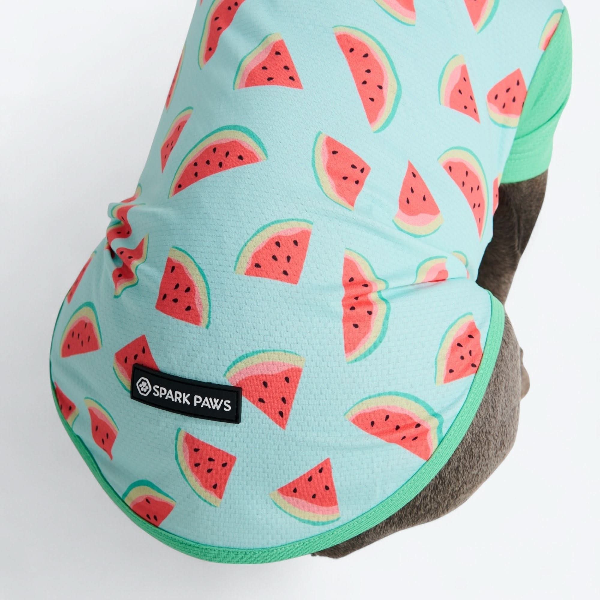 Sunblock Shirt - Watermelon - Image 6