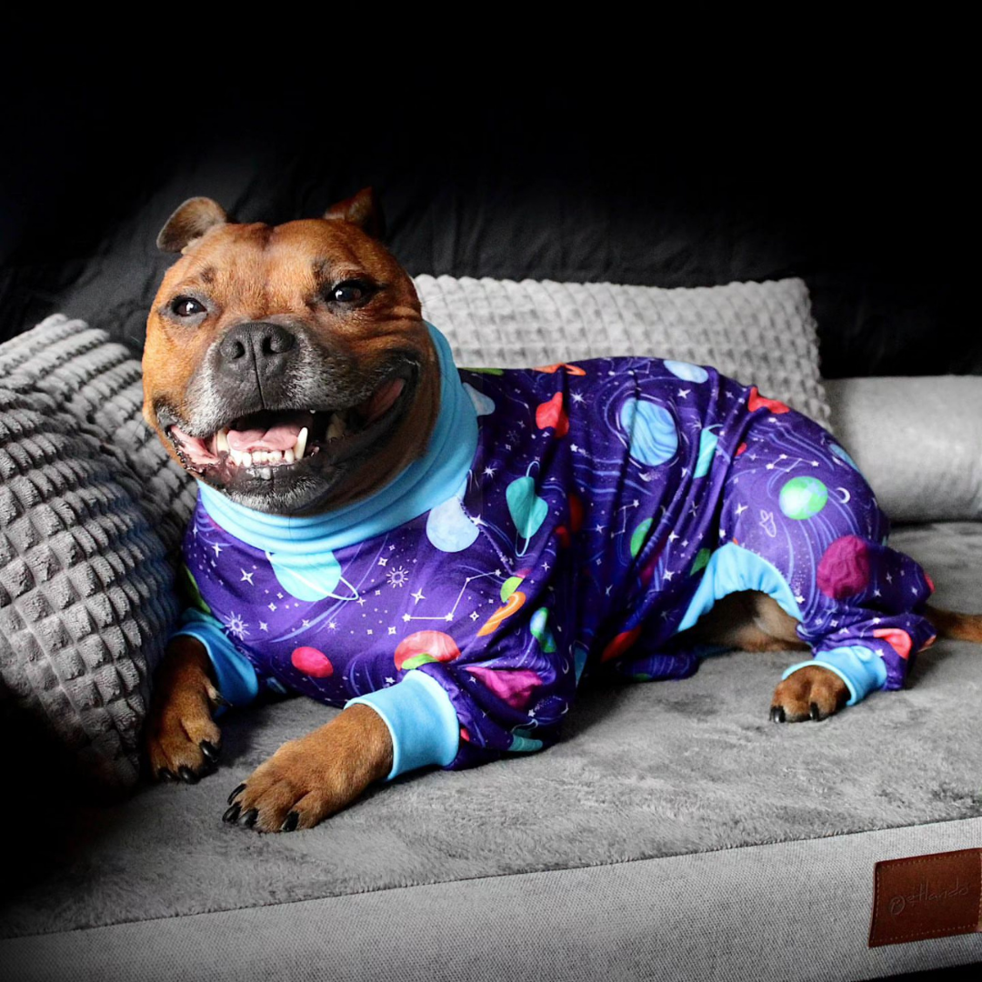 Dog Pajama - Planets - Image 12