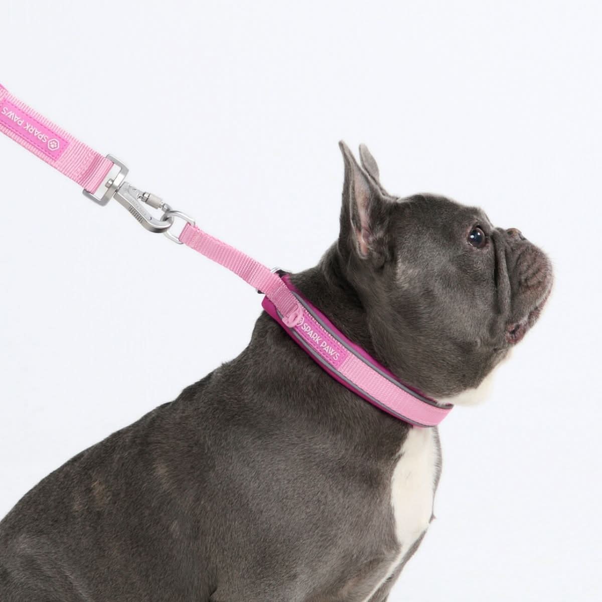 Cushioned Martingale Collar - Pink - Image 2