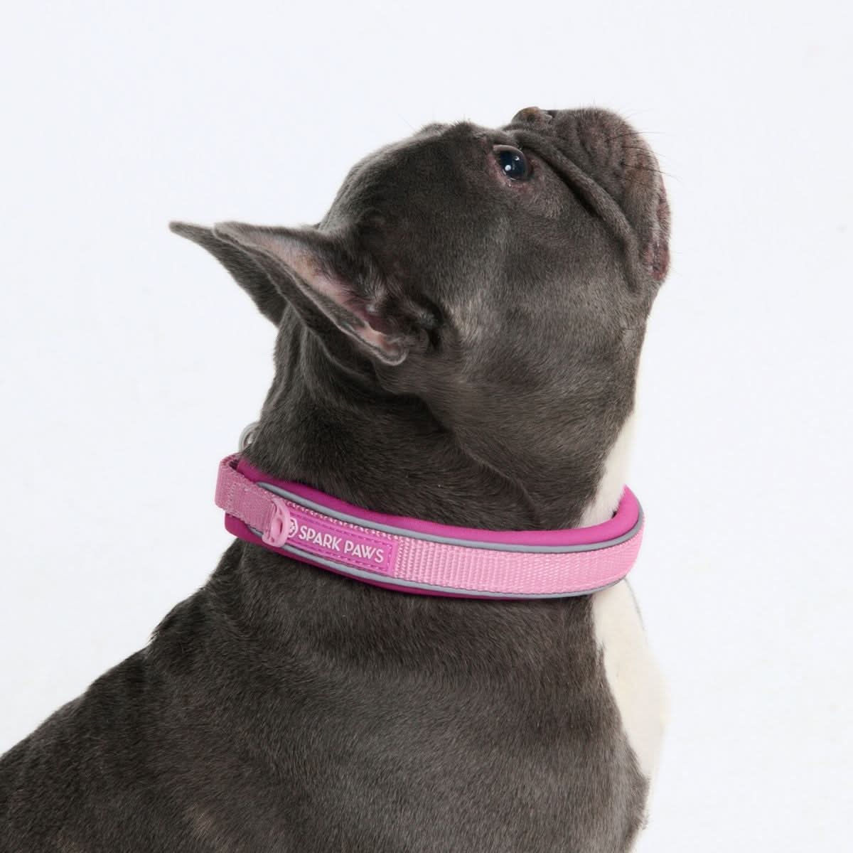 Cushioned Martingale Collar - Pink - Image 3