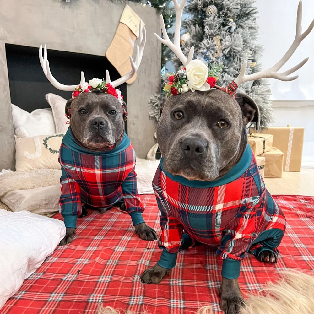 Dog Pajama - Green and Red Plaid - Image 12