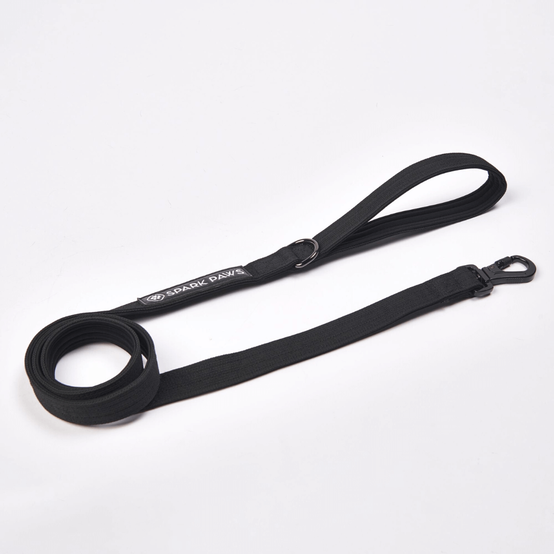 Leash and Poop Bag Holder Set - Black - Image 4
