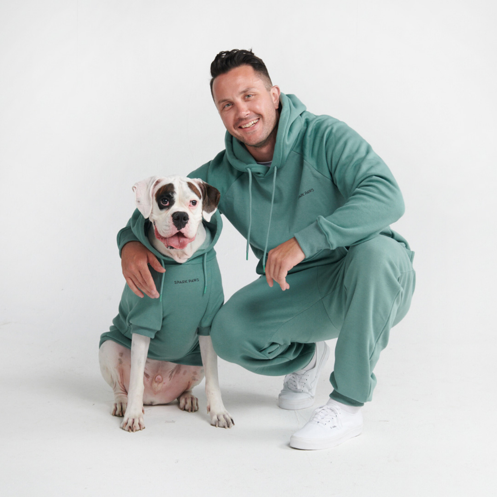 Essential Dog Hoodie - Teal - Image 12