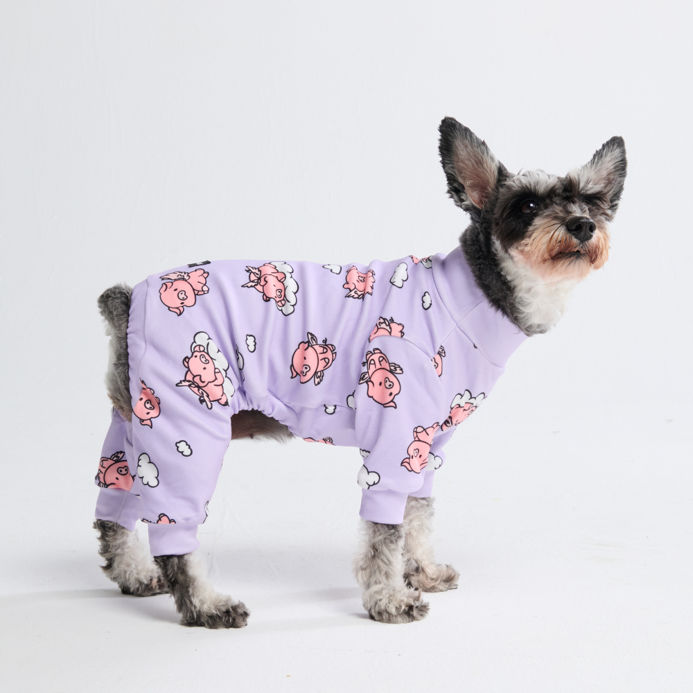 Dog Pajama - When Pigs Fly - Image 7