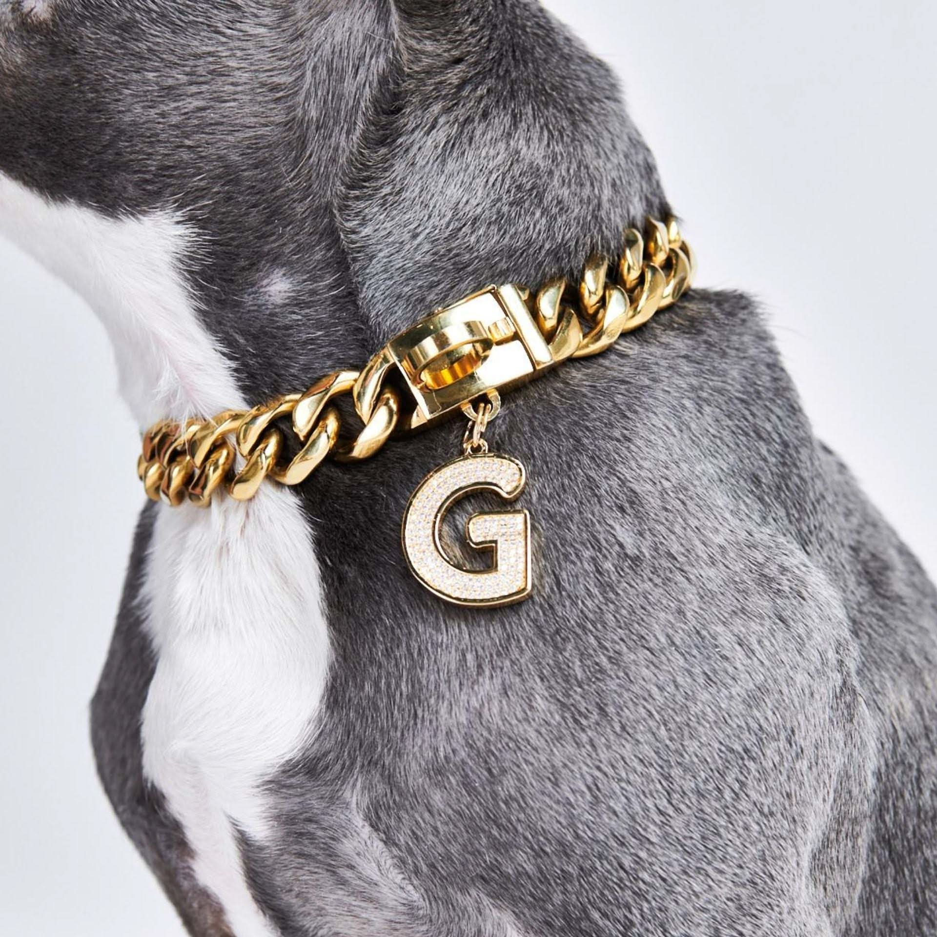 Initial Letter Jewelry Tag - G - Image 3