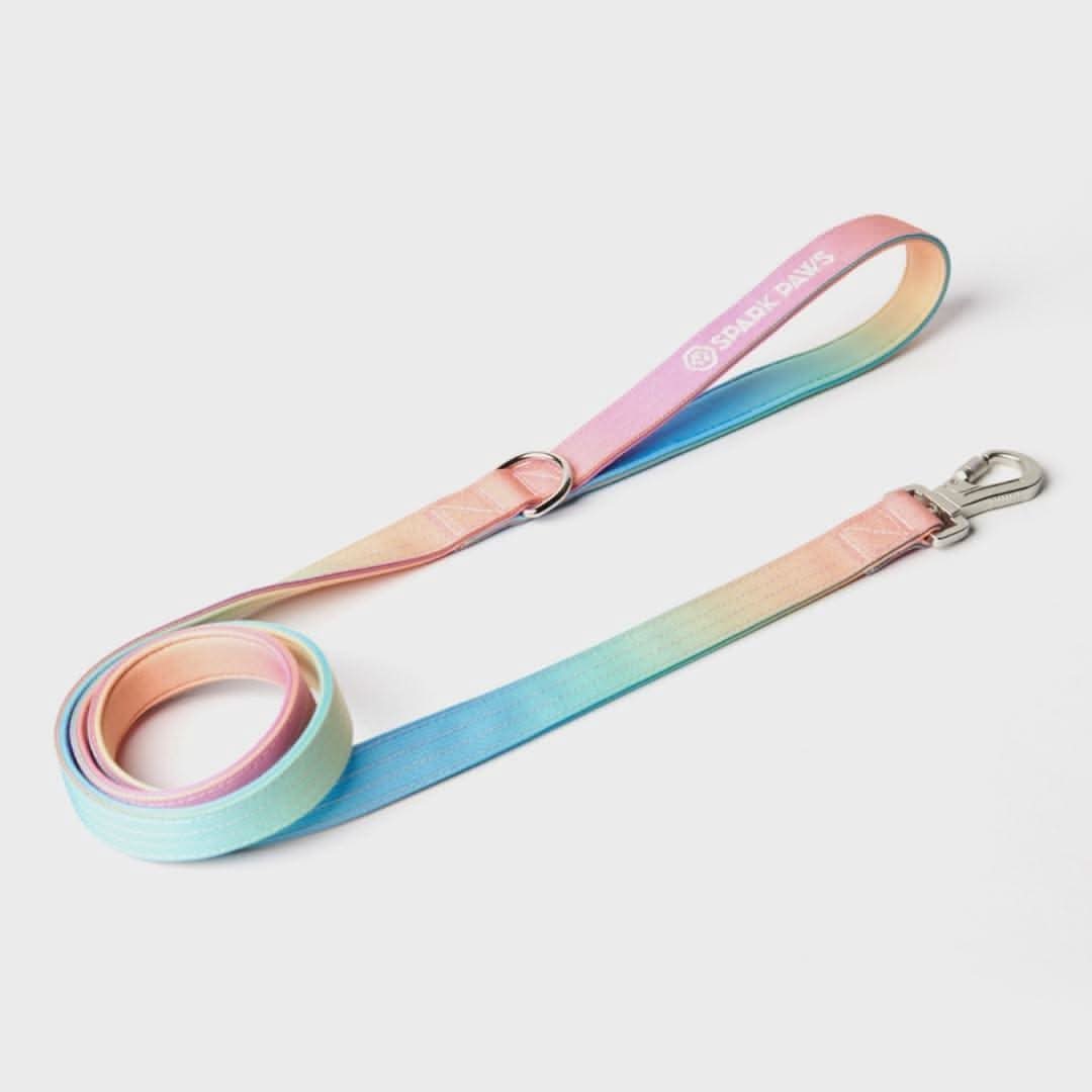Leash and Poop Bag Holder Set - Pastel Icing - Image 5