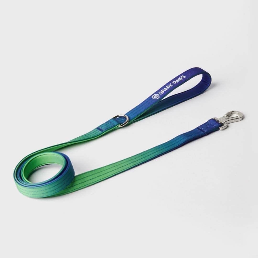 Leash and Poop Bag Holder Set - Lime Wave - Image 5