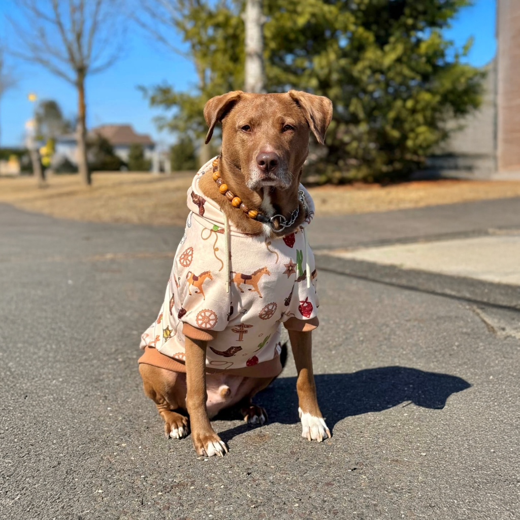 Rodeo Dog Hoodie - Image 13
