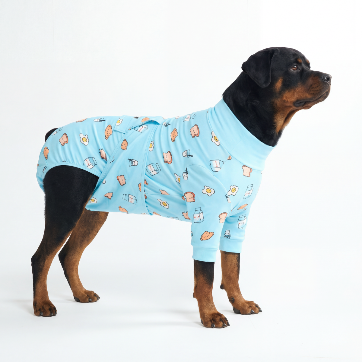 Dog Surgical Suit - Breakfast Blue - Image 6