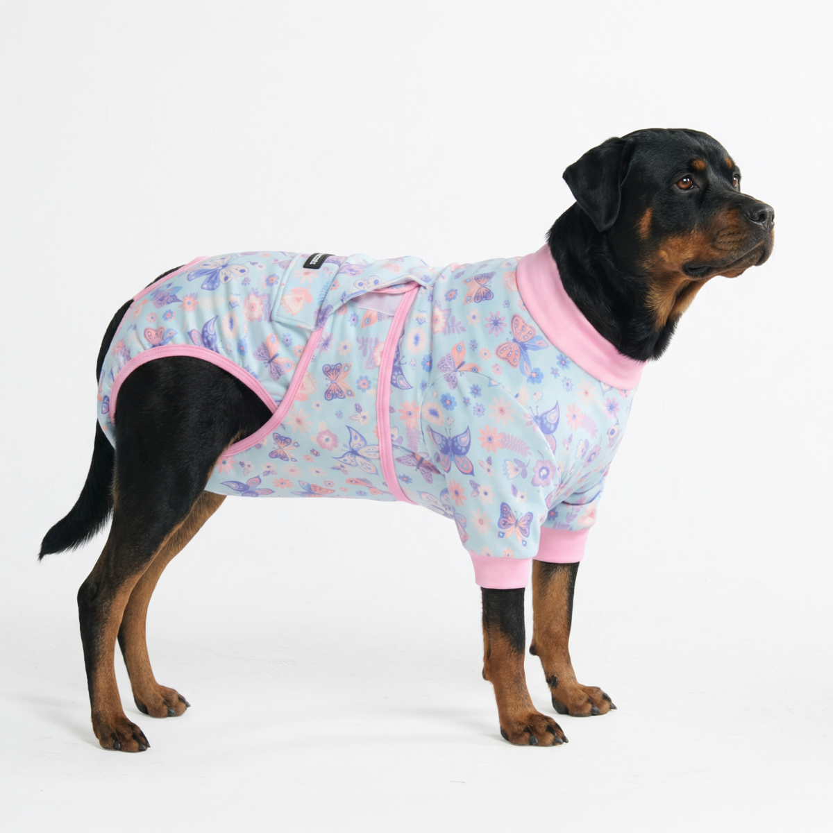 Dog Surgical Suit - Butterfly - Image 6