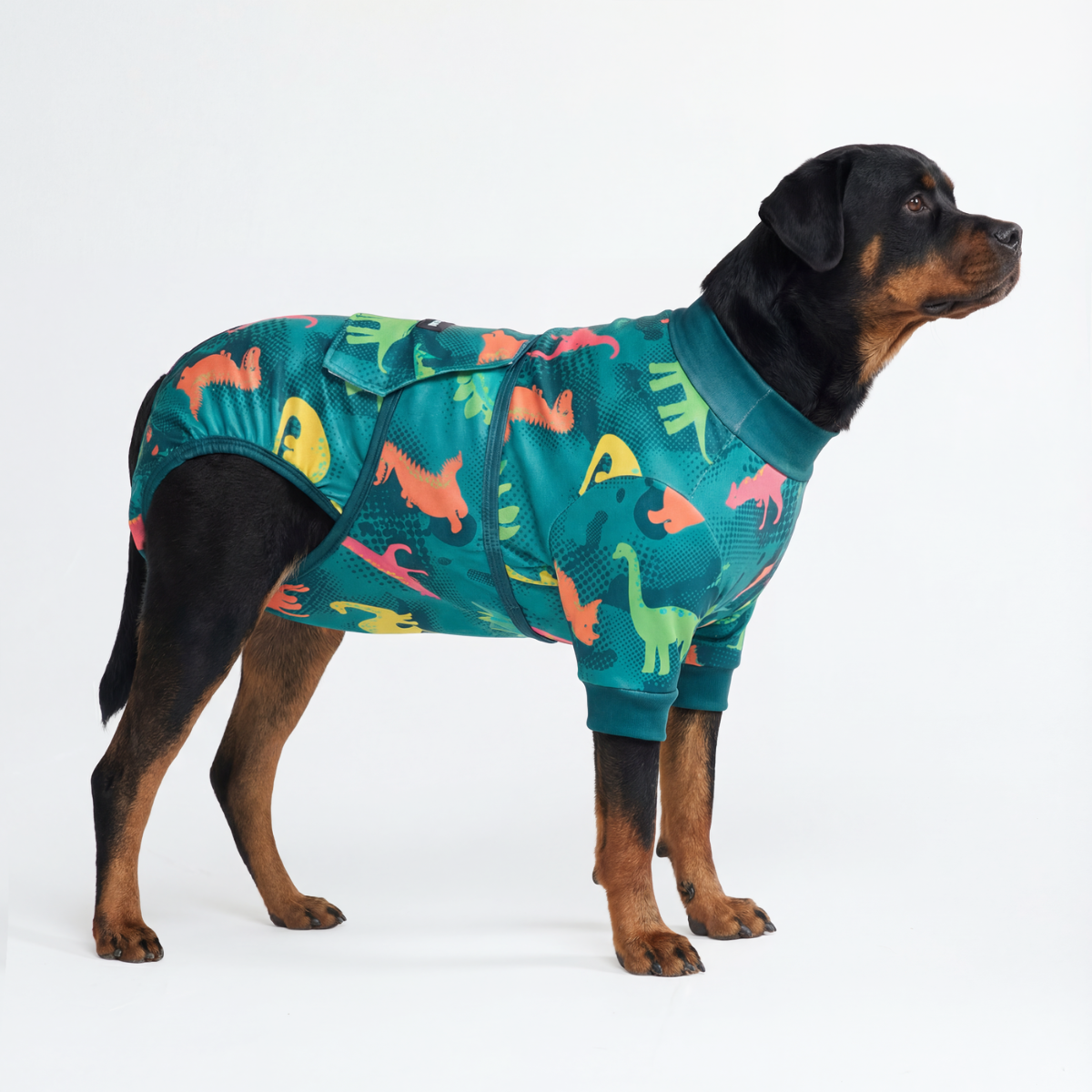 Dog Surgical Suit - Dinosaurs - Image 5