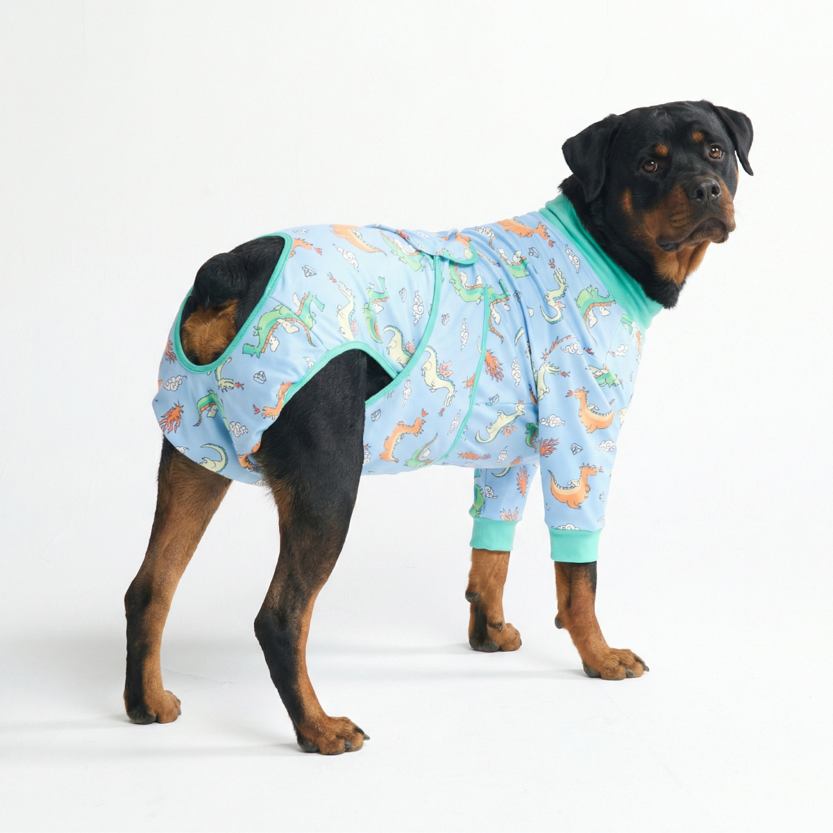 Dog Surgical Suit - Dragons - Image 6