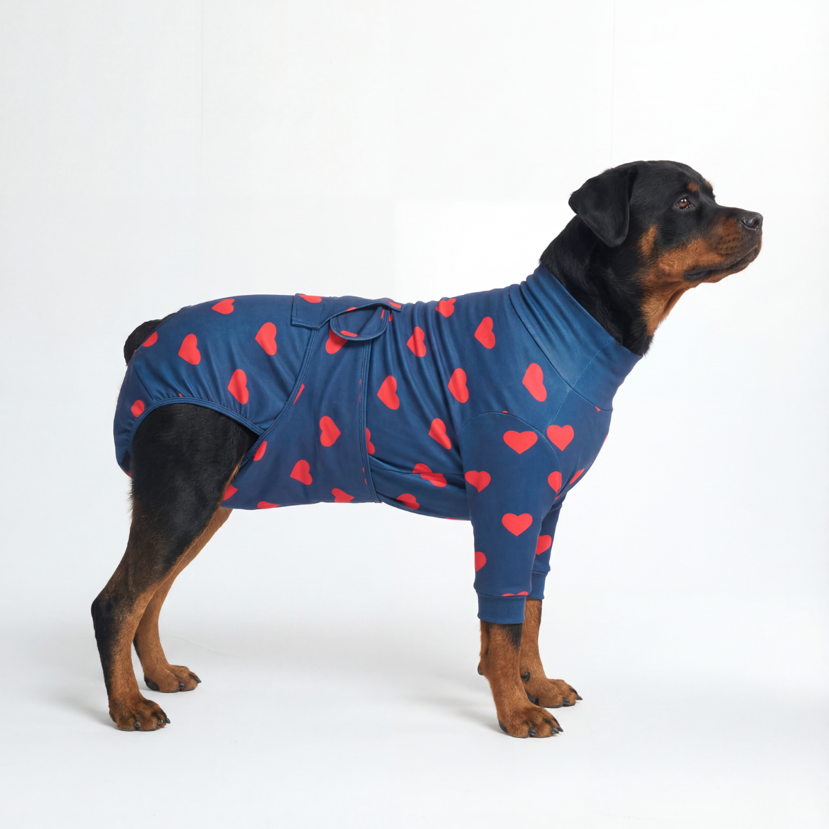 Dog Surgical Suit - Hearts - Image 6